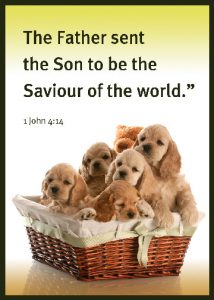 1 John 4:14
