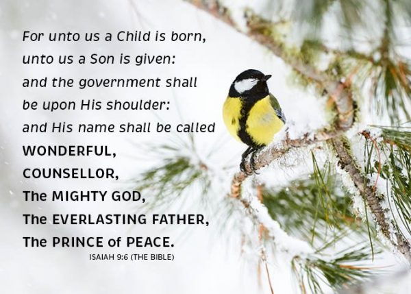 Isaiah 9_6 Yellow Bird