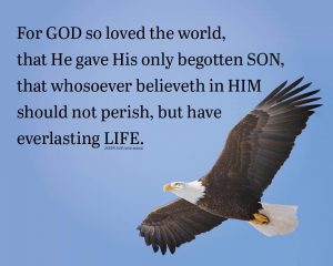 John316_8x10 Text Eagle reprint 2025 PRESS