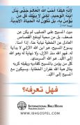 Tract - Who is God Arabic back