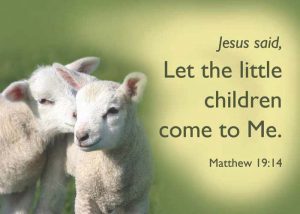 lambs-Matt1914[1]