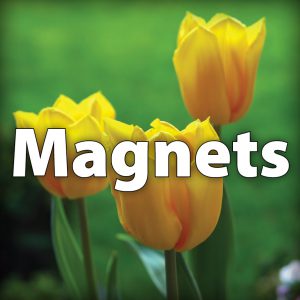 Magnets