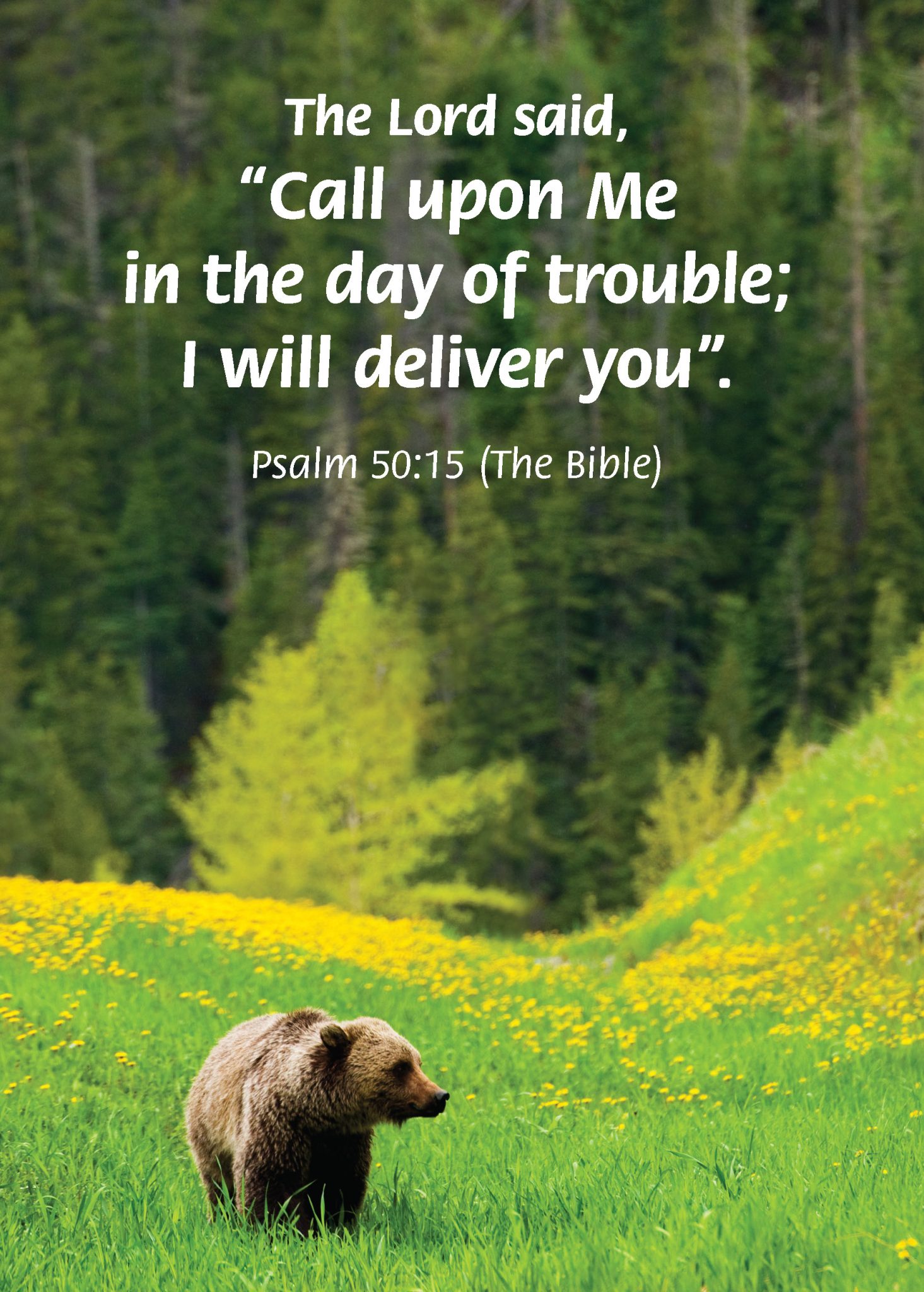 psalm-50-15-international-bible-house