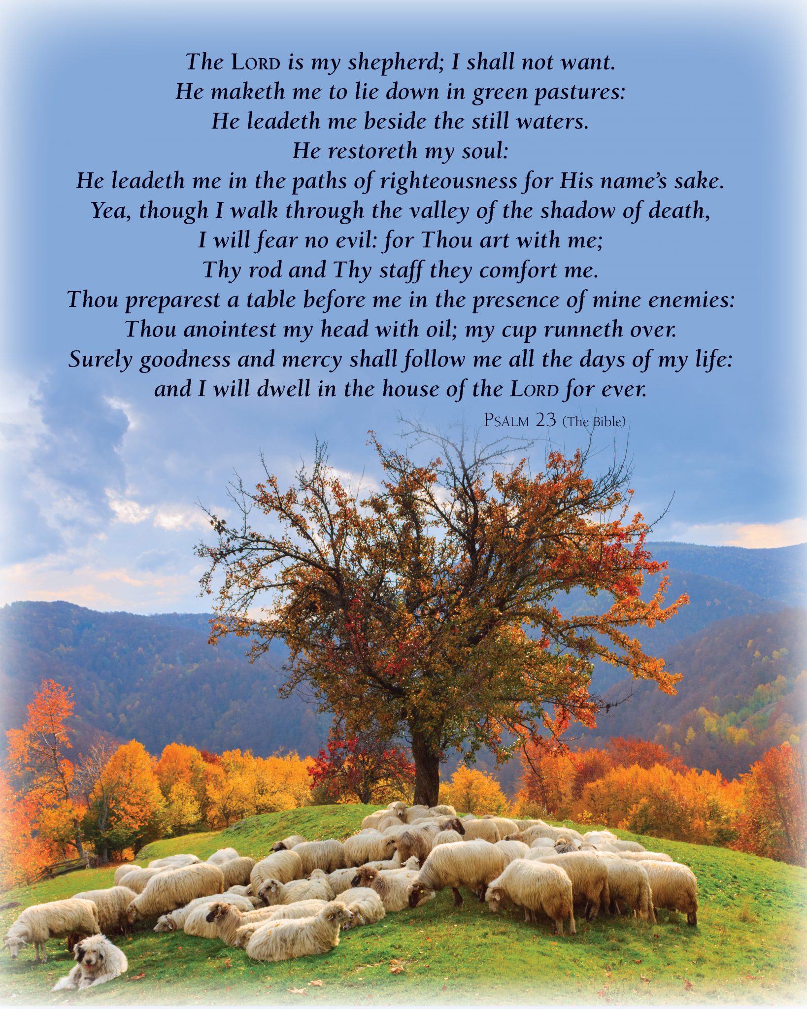 Psalm 23 International Bible House   Psalm23 8x10 Text 2017 LambsAutumn PRESS Page 1 