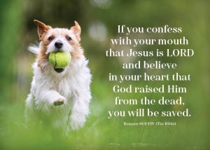 Rom109_5x7 Text 2025 dog